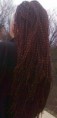 /album/open-rasta/open-rasta-s-micro-zizi-wave-jpg/